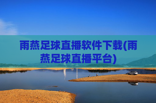 雨燕足球直播软件下载(雨燕足球直播平台)