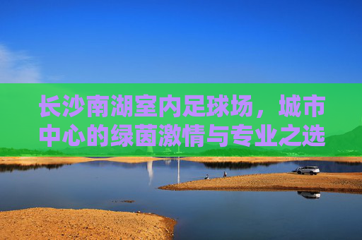 长沙南湖室内足球场,城市中心的绿茵激情与专业之选