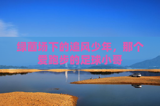 绿茵场下的追风少年,那个爱跑步的足球小哥