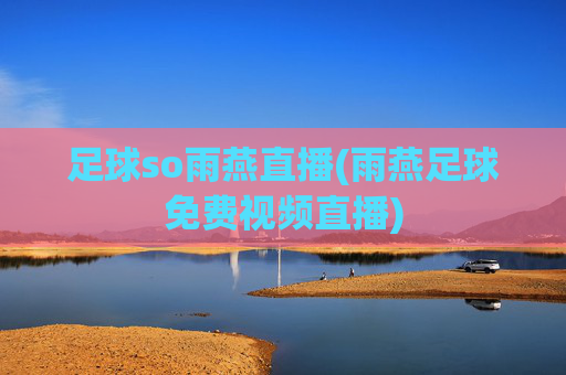 足球so雨燕直播(雨燕足球免费视频直播)