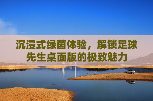 沉浸式绿茵体验,解锁足球先生桌面版的极致魅力