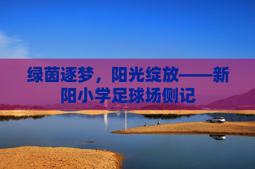 绿茵逐梦,阳光绽放——新阳小学足球场侧记