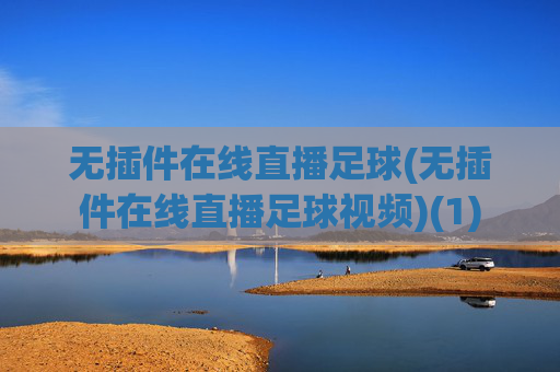 无插件在线直播足球(无插件在线直播足球视频)(1)