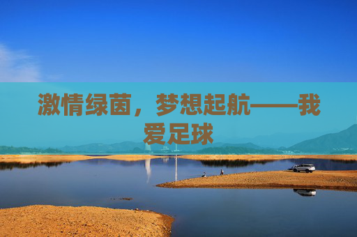 激情绿茵,梦想起航——我爱足球