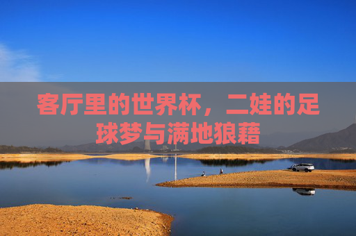 客厅里的世界杯,二娃的足球梦与满地狼藉