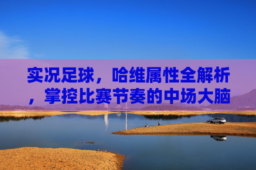 实况足球,哈维属性全解析,掌控比赛节奏的中场大脑