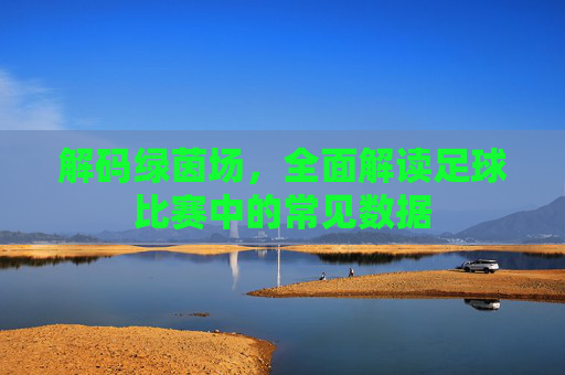 解码绿茵场,全面解读足球比赛中的常见数据
