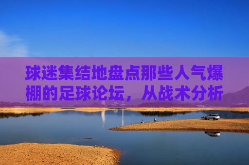 球迷集结地盘点那些人气爆棚的足球论坛,从战术分析到转会内幕,总有一款适合你