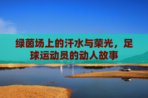 绿茵场上的汗水与荣光,足球运动员的动人故事