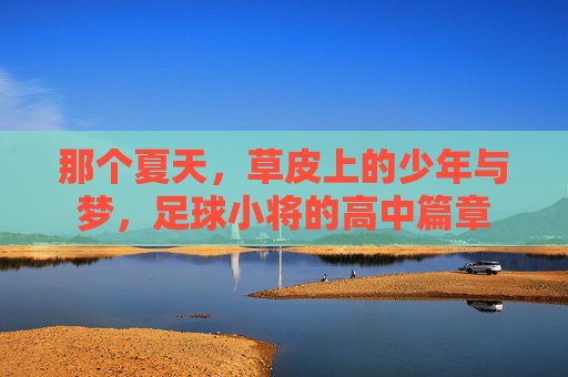 那个夏天,草皮上的少年与梦,足球小将的高中篇章