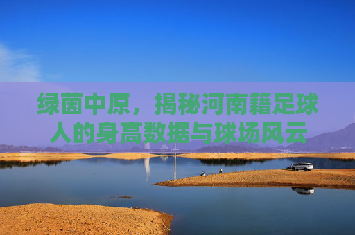 绿茵中原,揭秘河南籍足球人的身高数据与球场风云
