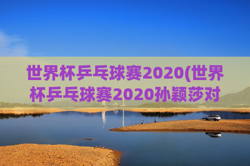 世界杯乒乓球赛2020(世界杯乒乓球赛2020孙颖莎对伊藤)