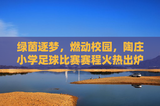 绿茵逐梦,燃动校园,陶庄小学足球比赛赛程火热出炉