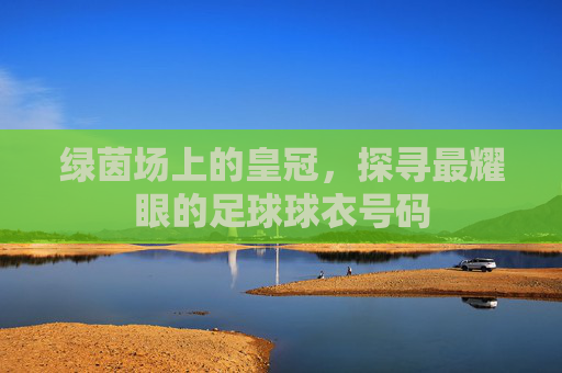 绿茵场上的皇冠,探寻最耀眼的足球球衣号码