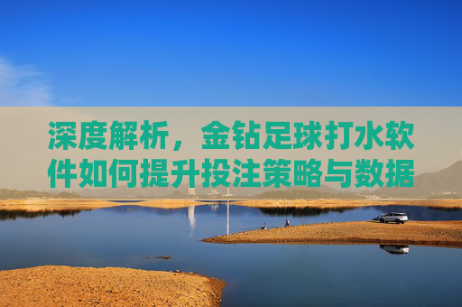 深度解析,金钻足球打水软件如何提升投注策略与数据分析效率