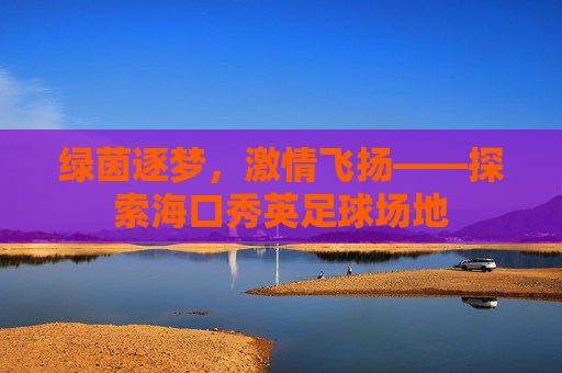 绿茵逐梦,激情飞扬——探索海口秀英足球场地