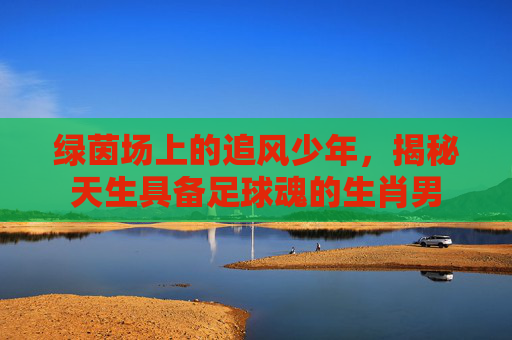 绿茵场上的追风少年,揭秘天生具备足球魂的生肖男
