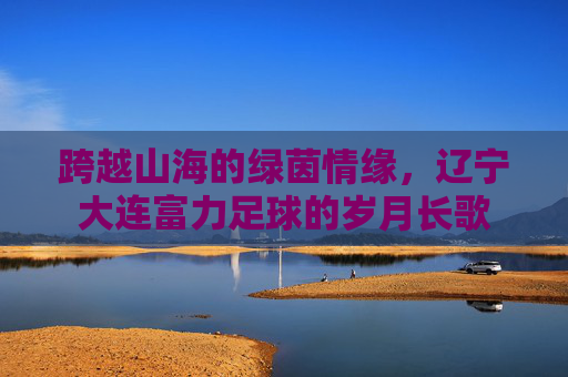 跨越山海的绿茵情缘,辽宁大连富力足球的岁月长歌