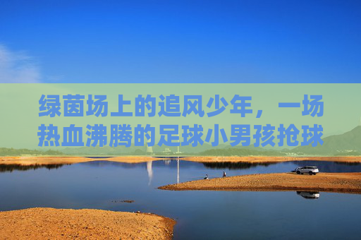 绿茵场上的追风少年,一场热血沸腾的足球小男孩抢球游戏
