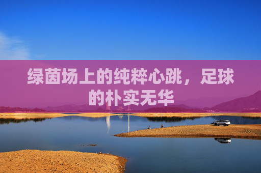 绿茵场上的纯粹心跳,足球的朴实无华
