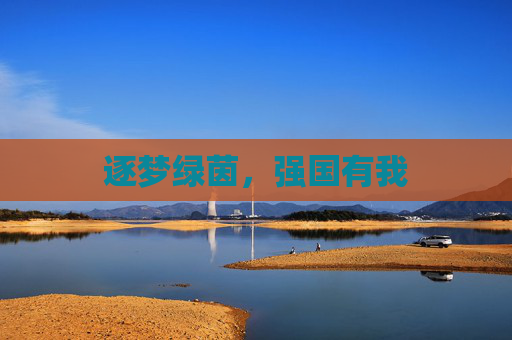 逐梦绿茵,强国有我
