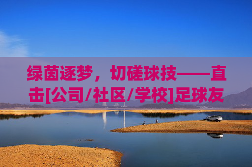 绿茵逐梦，切磋球技——直击[公司/社区/学校]足球友谊赛现场