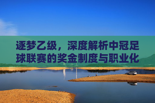 逐梦乙级,深度解析中冠足球联赛的奖金制度与职业化动力