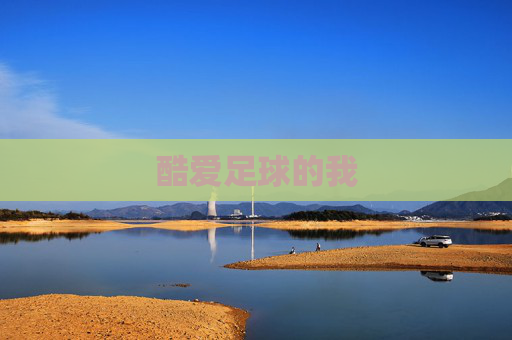 酷爱足球的我