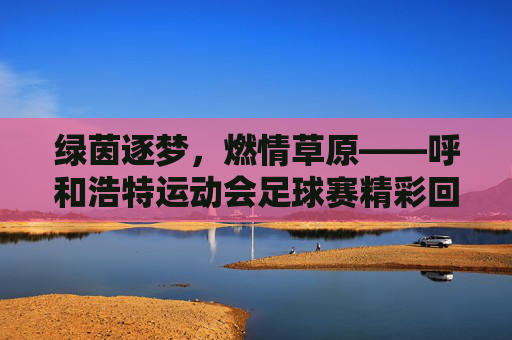 绿茵逐梦,燃情草原——呼和浩特运动会足球赛精彩回顾