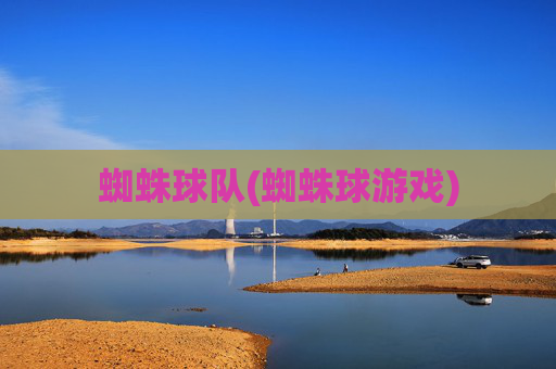 蜘蛛球队(蜘蛛球游戏)