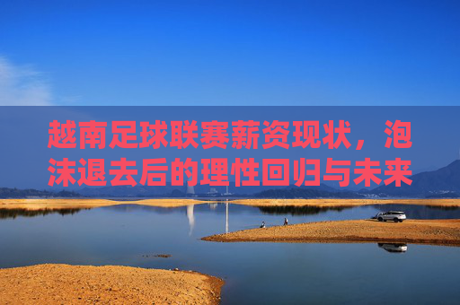 越南足球联赛薪资现状,泡沫退去后的理性回归与未来展望