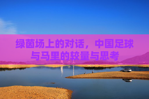 绿茵场上的对话,中国足球与马里的较量与思考