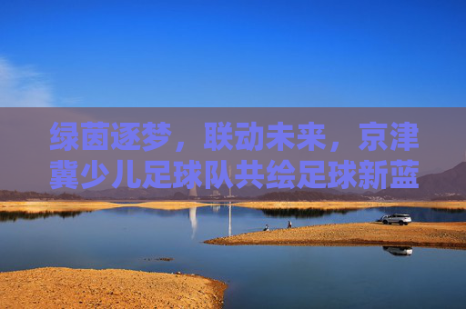 绿茵逐梦,联动未来,京津冀少儿足球队共绘足球新蓝图