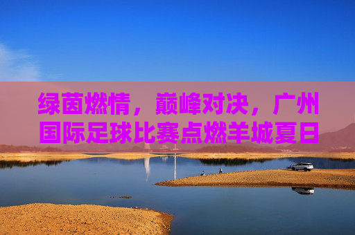 绿茵燃情,巅峰对决,广州国际足球比赛点燃羊城夏日激情