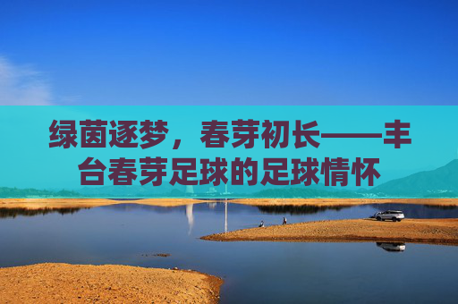 绿茵逐梦,春芽初长——丰台春芽足球的足球情怀