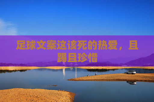足球文案这该死的热爱,且踢且珍惜