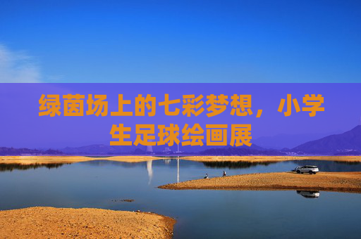 绿茵场上的七彩梦想,小学生足球绘画展