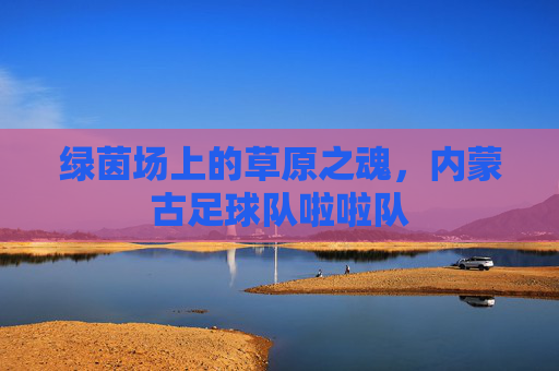 绿茵场上的草原之魂,内蒙古足球队啦啦队