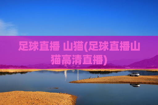 足球直播 山猫(足球直播山猫高清直播)