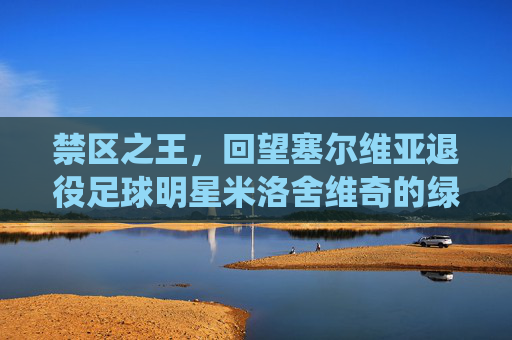 禁区之王,回望塞尔维亚退役足球明星米洛舍维奇的绿茵传奇