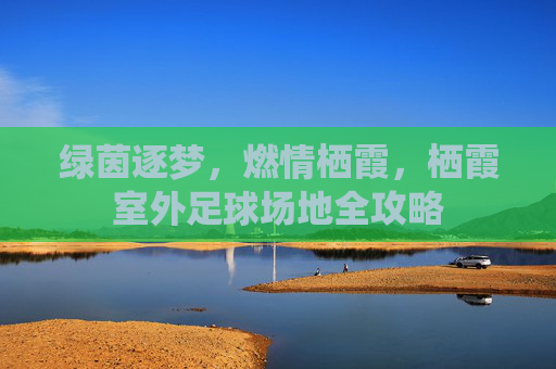 绿茵逐梦,燃情栖霞,栖霞室外足球场地全攻略