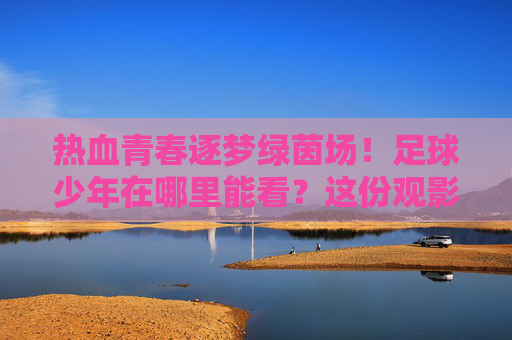 热血青春逐梦绿茵场!足球少年在哪里能看?这份观影指南请收好