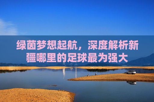 绿茵梦想起航,深度解析新疆哪里的足球最为强大
