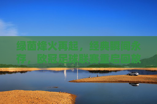 绿茵烽火再起,经典瞬间永存,欧冠足球联赛重启回放全解析