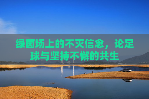 绿茵场上的不灭信念,论足球与坚持不懈的共生