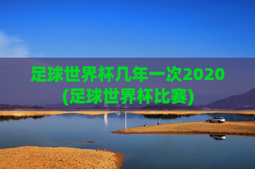 足球世界杯几年一次2020(足球世界杯比赛)
