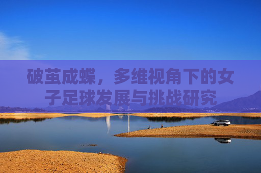 破茧成蝶,多维视角下的女子足球发展与挑战研究