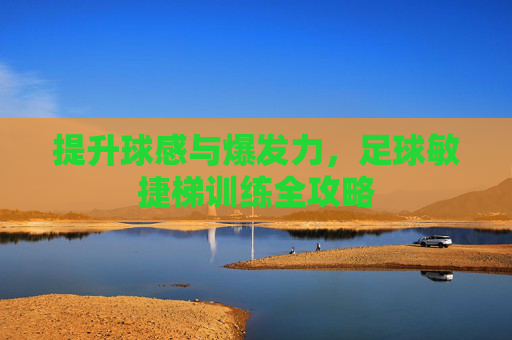 提升球感与爆发力,足球敏捷梯训练全攻略