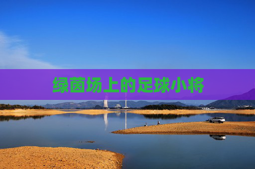 绿茵场上的足球小将