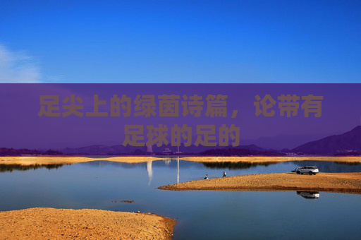 足尖上的绿茵诗篇,论带有足球的足的
